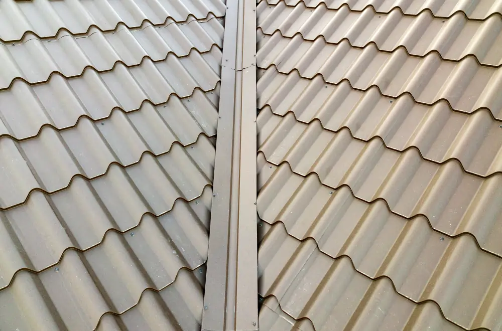 Roof cleaning - Specialist cleaning